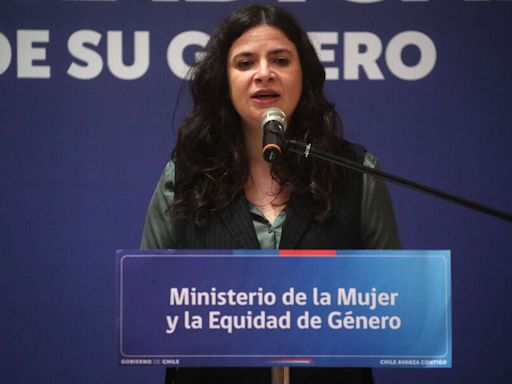 Orellana por diputados que negaron ingreso de hija de Camila Rojas a la sala: “Mal ejemplo a miles de empleadores y compañeros de trabajo” - La Tercera