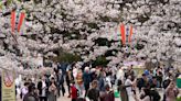 中國富人大量「潤」出 在日本定居者成倍增加