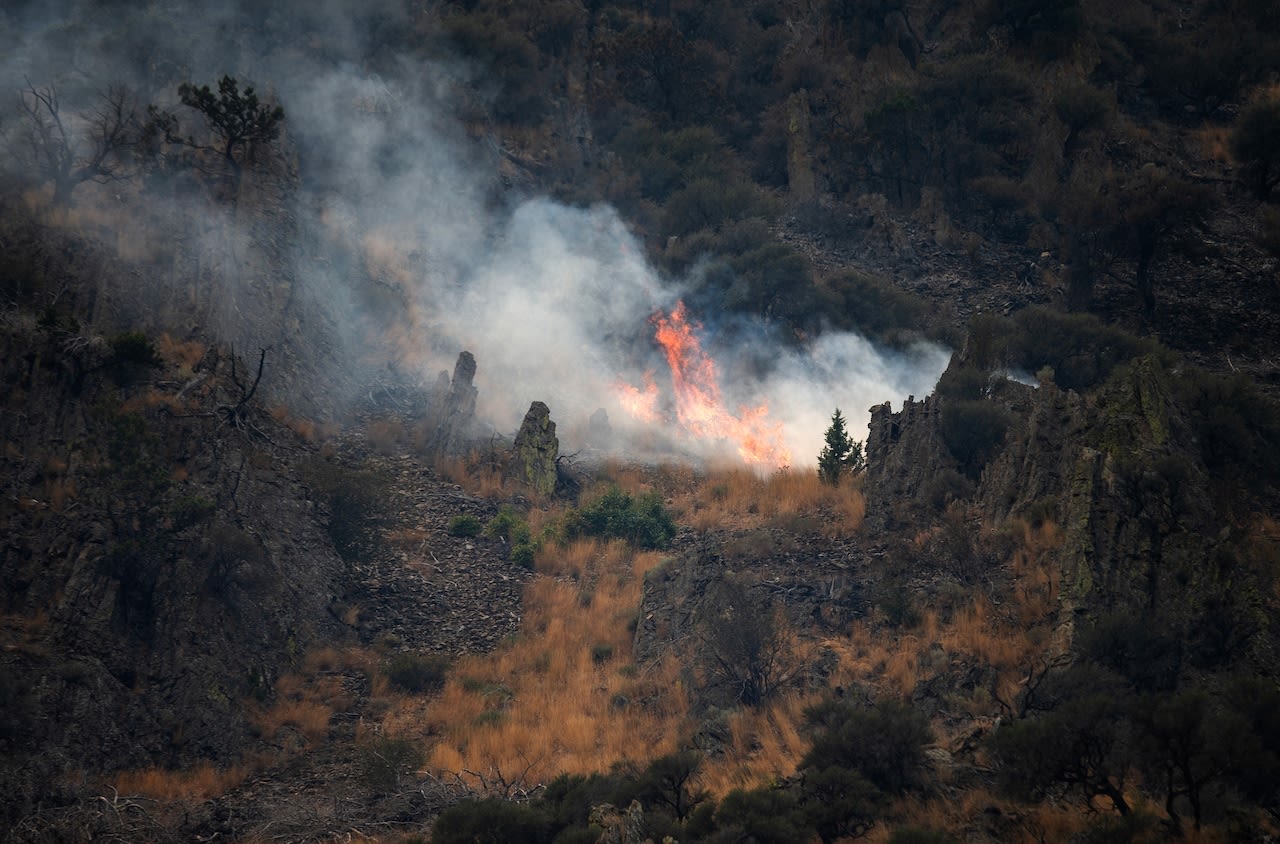 Oregon's largest wildfire increasingly under control, officials say