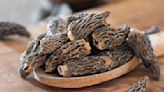 Seriously, How Are You Meant To Clean Morel Mushrooms?