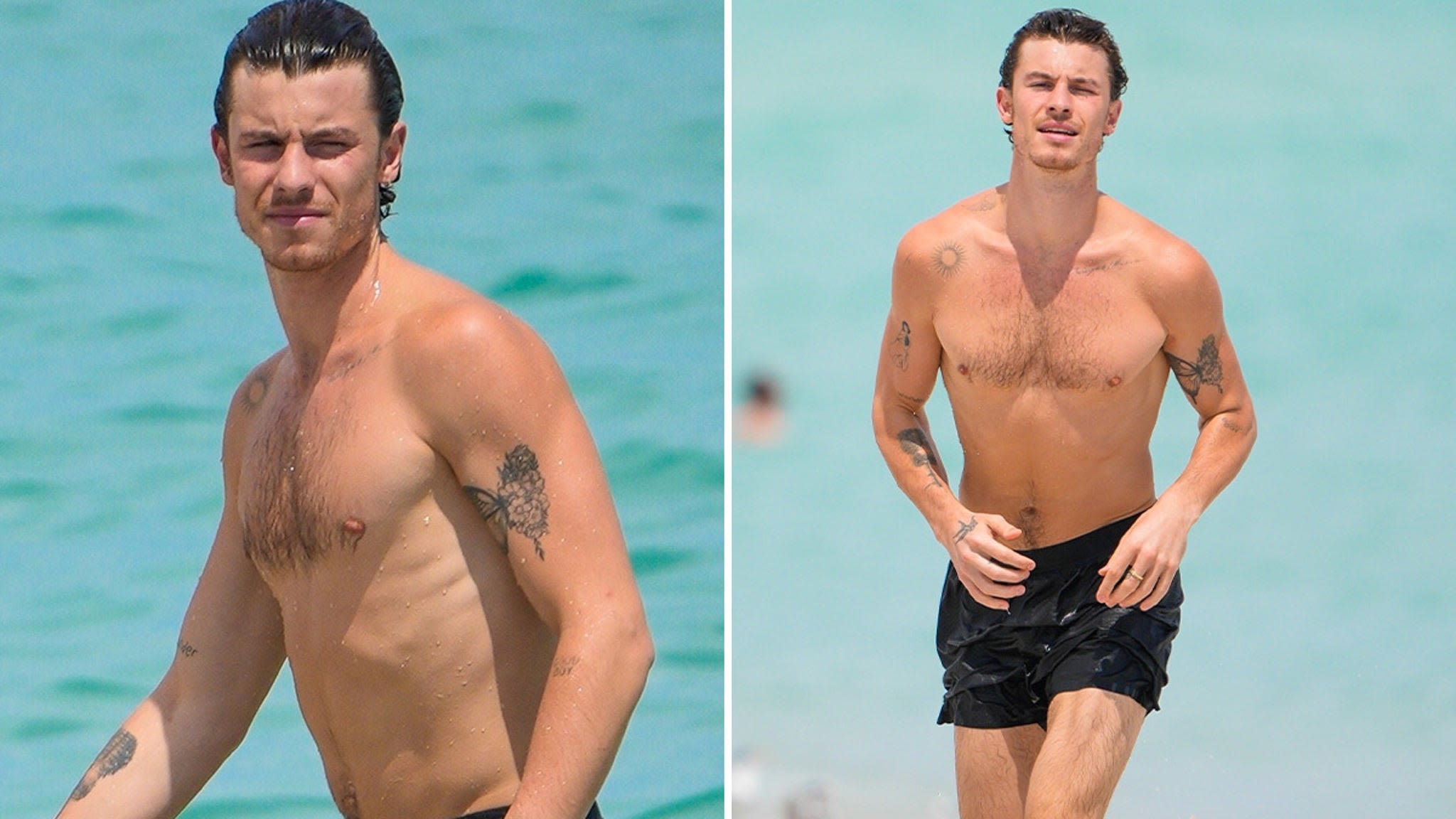 Shawn Mendes Walks Around Beach Dripping Wet After Quick Dip