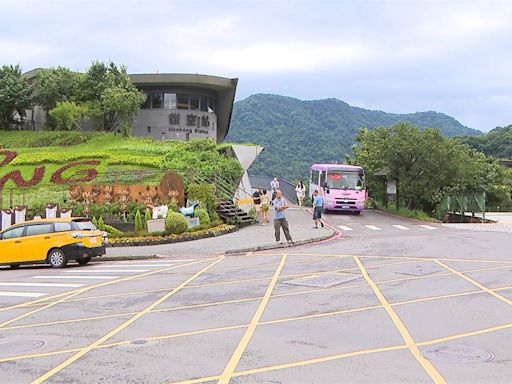 夏日新玩法! 搭貓空纜車上山泡茶.吃冰