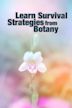 Learn Survival Strategies from Botany