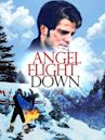 Angel Flight Down