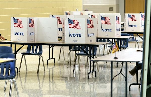 Lansing City Clerk estimates low turnout for Tuesday election