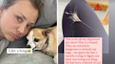 Kaley Cuoco warned her Instagram fans about foxtails after her dog ingested the plant and became 'violently ill'