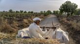 Farmers in India are weary of politicians' lackluster response to their climate-driven water crisis