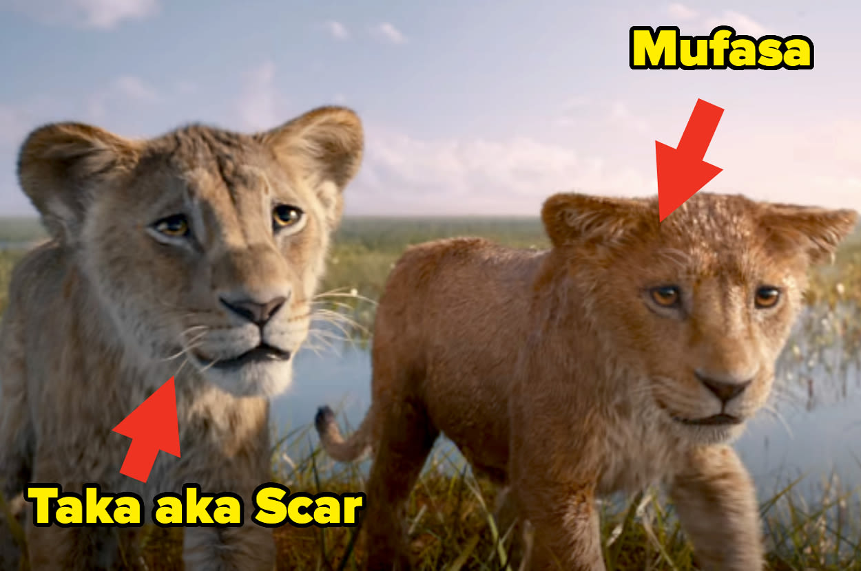 "Mufasa: The Lion King" Trailer Is Here, And Now People Are Second-Guessing Their Opinions About Scar