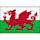 Wales national association football team