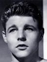 David Nelson (actor)