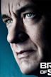 Bridge of Spies (film)