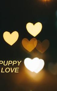 Puppy Love