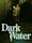 Dark Water (2002 film)