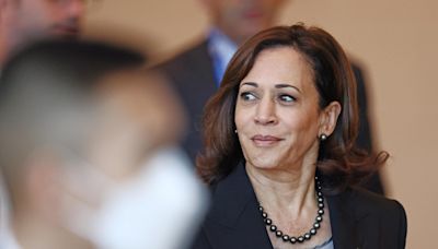 Quem Kamala Harris poderá escolher como companheiro de chapa?