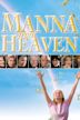 Manna from Heaven (film)