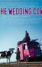 The Wedding Cow