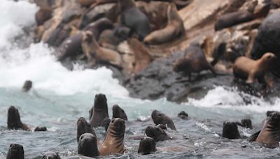 Perú presenta plataforma de venta de entradas para visitar sus áreas naturales protegidas