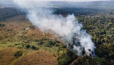 Em estado de emergência, Amazonas registra mais de 200 focos de queimadas em 24 horas