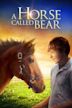 A Horse Called Bear