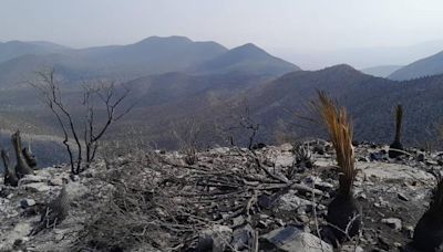 Ricardo Gallardo da informe sobre incendios activos en SLP; fuego de Tamasopo fue controlado