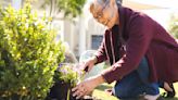 This ‘Care by Climate Type’ Gardening Guide Helps You Pick Perennials That Will Thrive in Your Yard