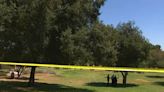 Burning body found in tree at Los Angeles' popular Griffith Park