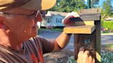 Those nest boxes at Riverview Park? They're part of bluebird conservation