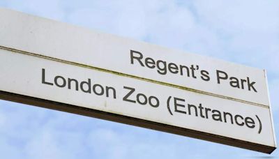 A day at London Zoo, world’s oldest scientific zoo