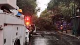 Fuertes lluvias en CDMX provocan encharcamientos y caída de árboles