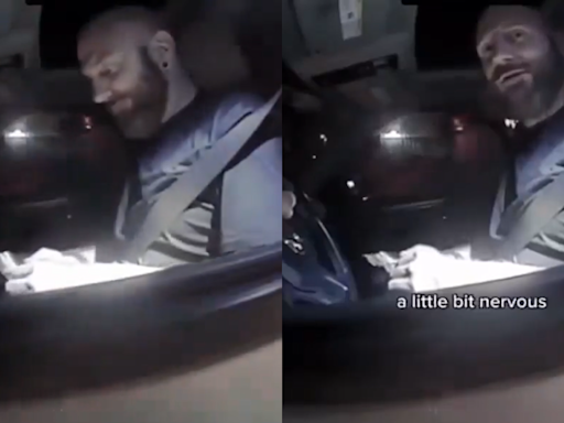 VIDEO: Accused Child Rapist Pulled Over By US Cops, 6 Kids Found In Vehicle; Old Footage Goes Viral