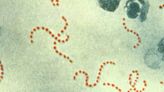 日本「食人菌」爆發…世界各地都有 台大醫示警6類人：死亡風險高