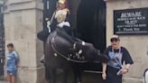 Video: un caballo de la Guardia Real mordió a una turista y la dejó inconsciente