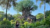 I visited every attraction at Disney World's Animal Kingdom. Here's how I'd rank them from worst to best.