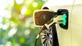 BIS introduces new safety standards for electric vehicles