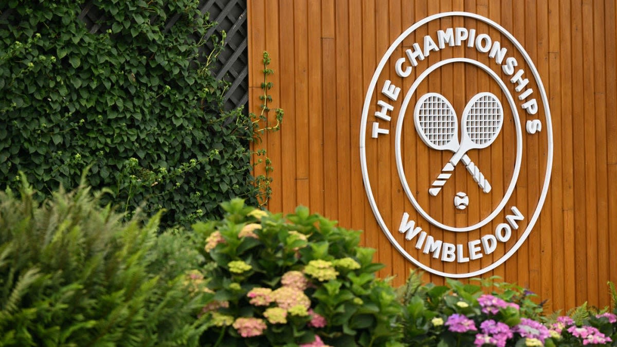 Wimbledon Tennis Championships 2024: Scores, results, final start time, winners, TV channel, live stream