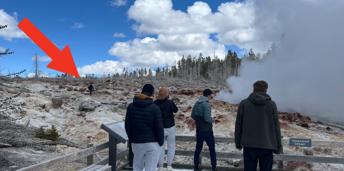 Yellowstone Visitor Sentenced To A Week In Jail Over 'Dangerous' Act