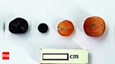 52 beads unearthed at Porpanaikottai archaeological site | Trichy News - Times of India