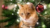 Finally: We’ve Figured Out How to Keep Cats Out of the Christmas Tree This Year!