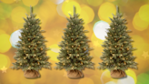 The 4-foot beauty people think is a 'real tree'? Just $80 with Prime (it's nearly 50% off)
