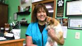 Meet Tracey Cline, owner and groomer at TLC Dog Styling