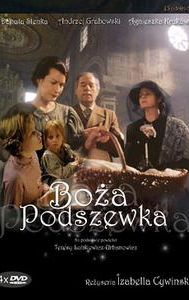 Boza podszewka