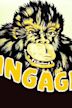 Ingagi