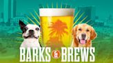 Realizarán festival de cerveza y perros en San Diego