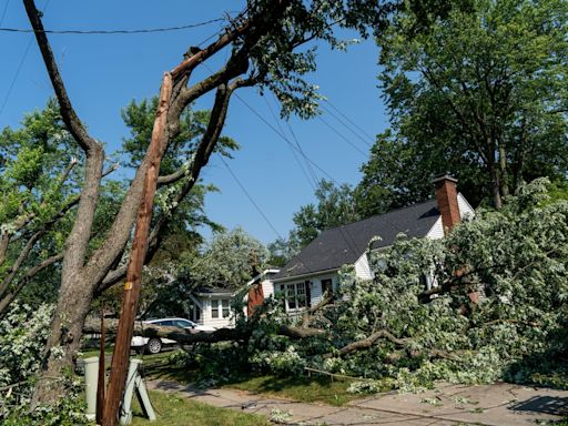 Storm tosses trees, power lines into tangled mess in Kalamazoo, Portage