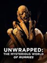 Unwrapped: The Mysterious World of Mummies