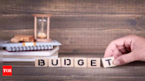 Budget 2024: Need to reform the provisions relating to updated tax returns - Times of India