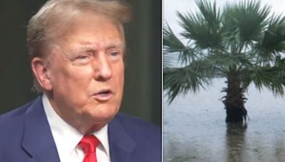 Donald Trump's 'Nonsensical' Jab At Rising Sea Levels Is Hit By Wave Of Mockery