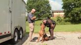 Video: 3-legged K9 continues to fight crime after losing leg