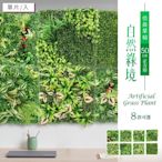 dayneeds 仿真草植-自然綠境(50cm正方形/多款可選) 植生牆/仿真植物牆/綠植園藝