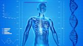AI enabled body composition analysis predicts outcomes for patients with lung cancer treated with immunotherapy
